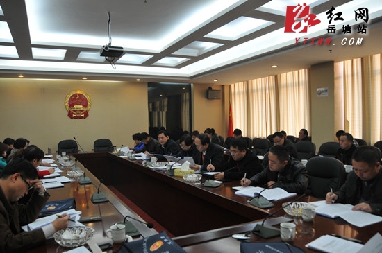 岳塘区人大代表分组审议《政府工作报告》等报告