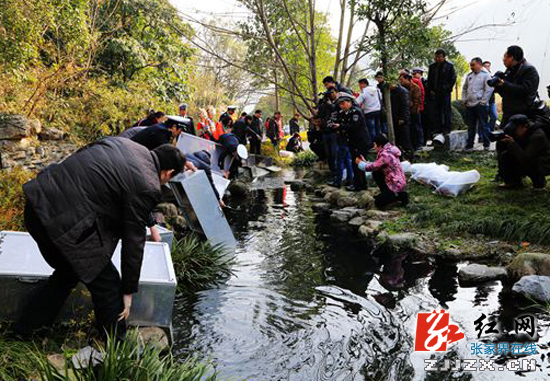 湖南省大鲵人工增殖放流活动在张家界举行 放流大鲵500尾（组图）