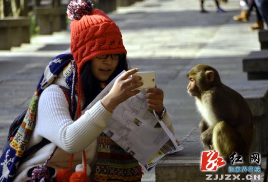 阳光好风景美 八方客新年喜游张家界