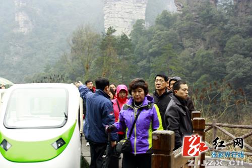 阳光好风景美 八方客新年喜游张家界