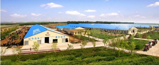 辉山是国内首家实现奶源全部来自于规模化自营牧场的大型乳品企业