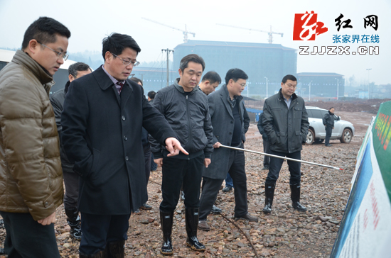 杨光荣调研桑植县经济社会发展情况