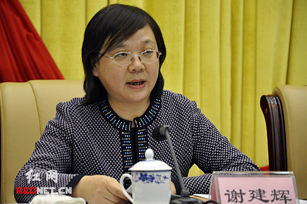 湖南省发改委党组书记谢建辉做《稳中求进 改革创新 把发展改革工作推向新的台阶》的工作报告。