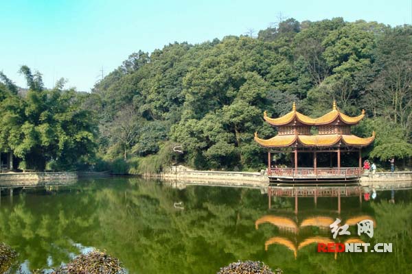 南郊公园一隅。