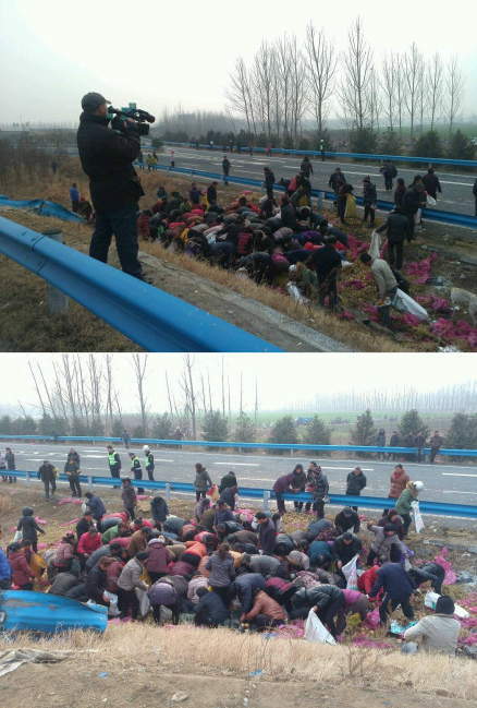 沪陕高速南阳段附近一货车侧翻 20余顿苹果遭抢