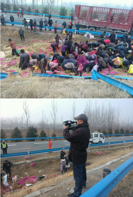 沪陕高速南阳段附近一货车侧翻 20余顿苹果遭抢