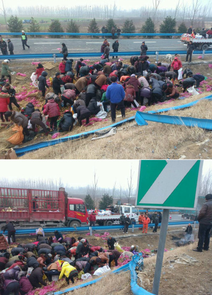 沪陕高速南阳段附近一货车侧翻 20余顿苹果遭抢