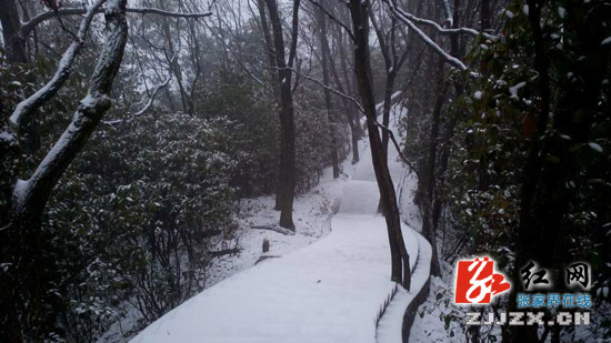 张家界武陵源迎来2014年首场降雪（组图）