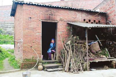 门口堆放的柴禾，都是老人自己捡来的。