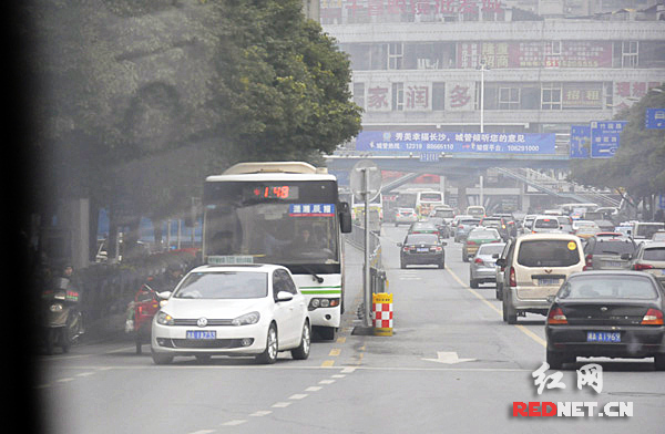 部分不熟悉路况或者“新手”直接驶入单行线的公交专用道上。