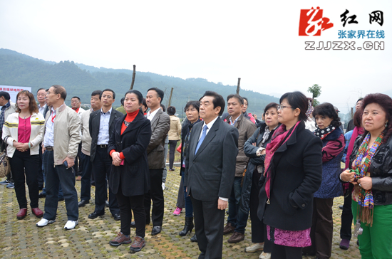 【双联双解六攻坚】武陵源：合理铺排 真抓实干