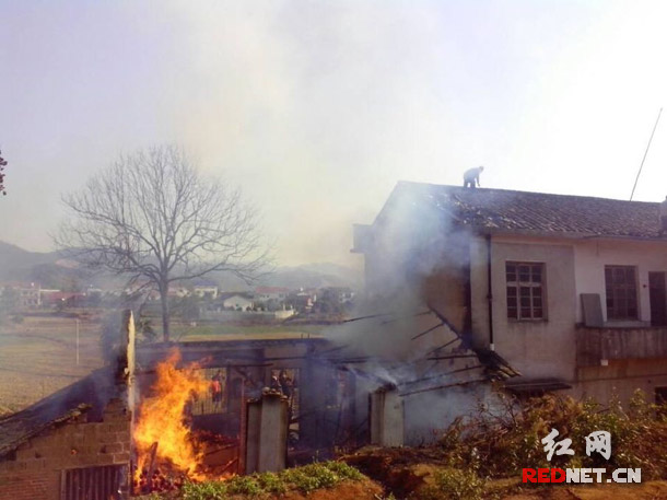 火势已经蔓延到起火房屋左边的楼房顶上，村民提着水桶，爬上屋顶把火灭了，然后又把屋顶的瓦揭开一条隔火带。