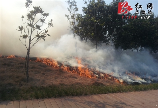 河东沿江风光带湿地公园发生火灾  众人齐努力“熄火