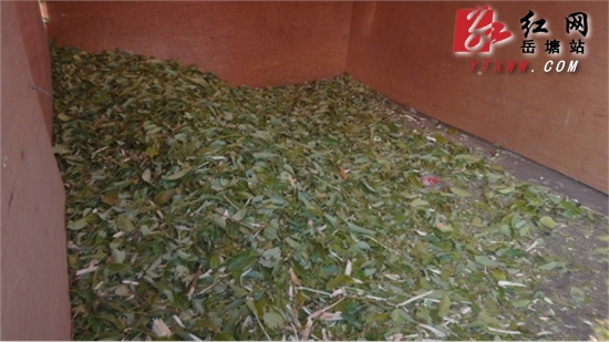 园林碎枝机让树枝变“废”为宝