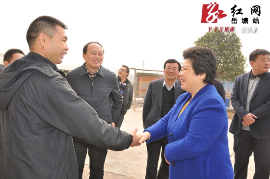 市领导周放良、杨广节前走访慰问岳塘区各界人士