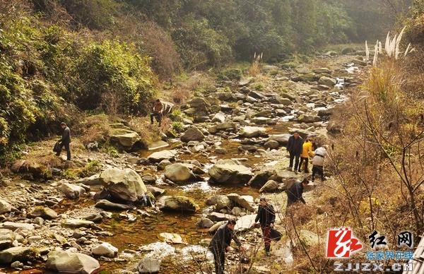 备战春节自驾游高峰 武陵源千名干部职工为交通主干道“美容”