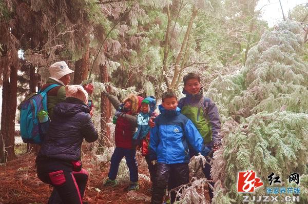 【欢乐春节】张家界黄石寨雾凇美景迷游人（组图）