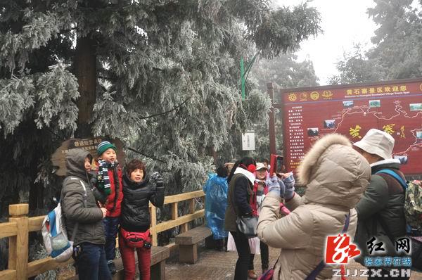 【欢乐春节】张家界黄石寨雾凇美景迷游人（组图）