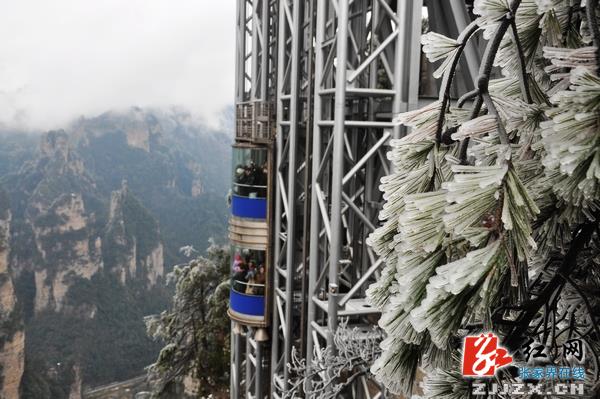 冰雪美景引热张家界核心景区节后旅游