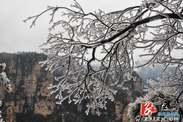 冰雪美景引热张家界核心景区节后旅游