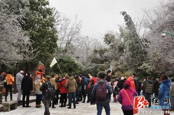 冰雪美景引热张家界核心景区节后旅游