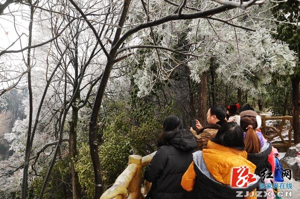 冰雪美景引热张家界核心景区节后旅游