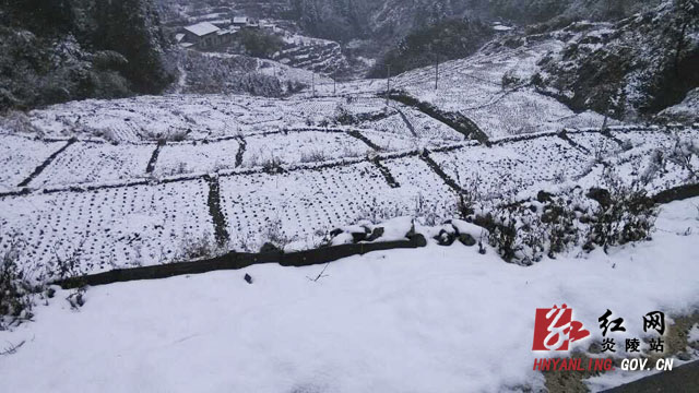 炎陵县下村乡多措并举应对冰冻天气