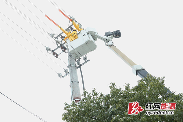 2月10日上午，益阳供电公司带电作业班在白马山10千伏清下线带电抢修。