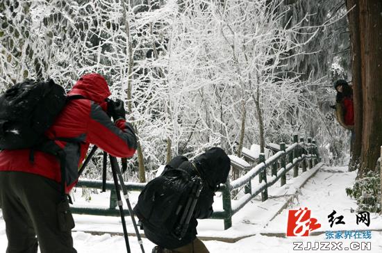 武陵源景区开启春雪之旅 错峰出游升温