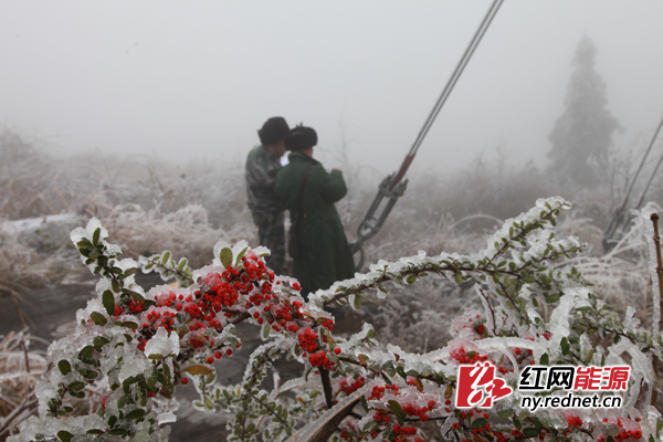 线路覆冰最厚近9毫米，湘西电网目前安全稳定运行。