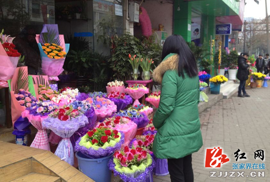 情人节与元宵节美丽“邂逅” 张家界玫瑰花“涨”声一片