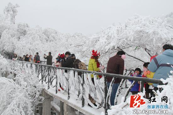 张家界天门山景区雾淞冰花让游客美不胜收