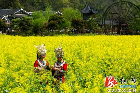 “地下明珠”张家界黄龙洞连续16年领跑全国旅游洞穴