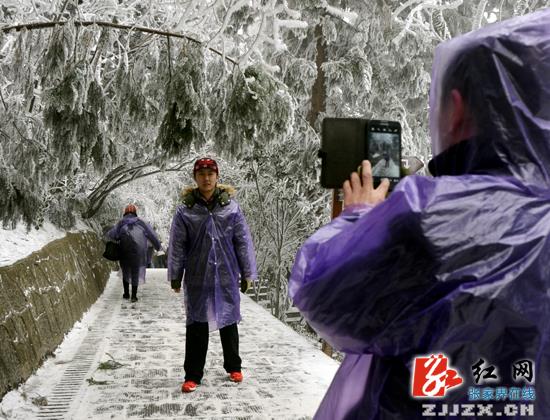 浪漫情人节牵手赏春雪 武陵源“温情套餐”受青睐