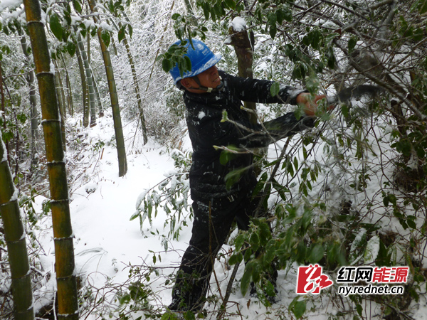 巡线人员奋力砍开阻挡巡线道路的杂木。