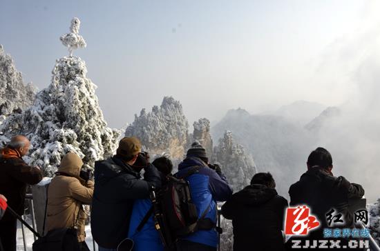 中外摄影师钟情张家界春雪美景