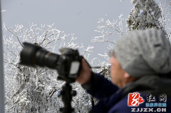 中外摄影师钟情张家界春雪美景