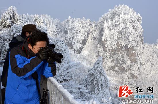 中外摄影师钟情张家界春雪美景