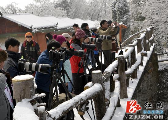 中外摄影师钟情张家界春雪美景