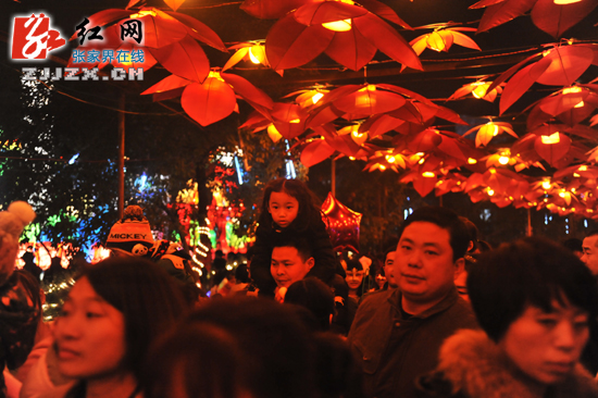 张家界市民观灯赏景欢庆元宵（组图）