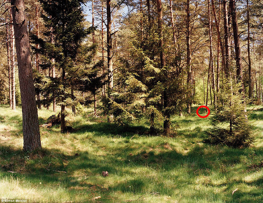 德国军队狙击手藏身术：与自然融为一体