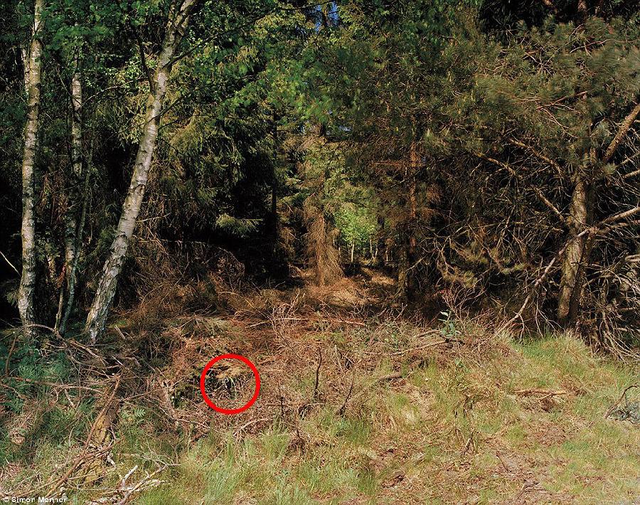 德国军队狙击手藏身术：与自然融为一体