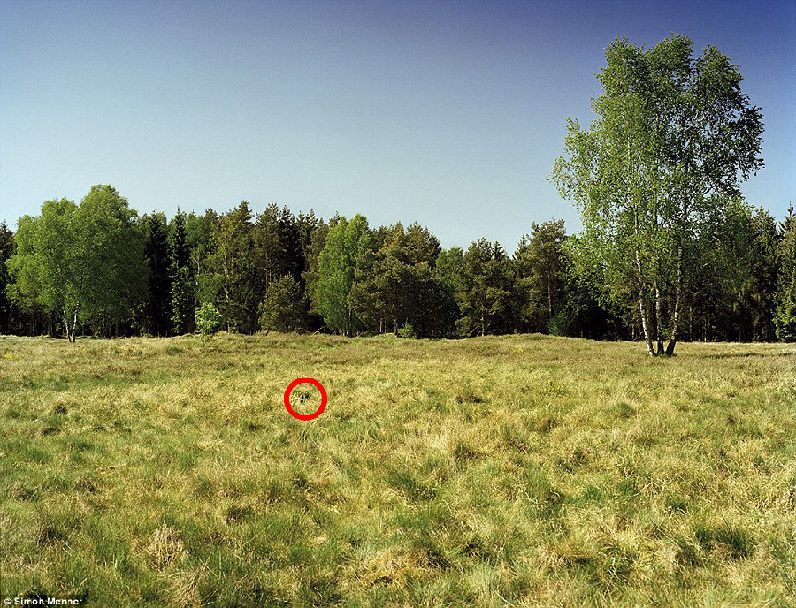 德国军队狙击手藏身术：与自然融为一体