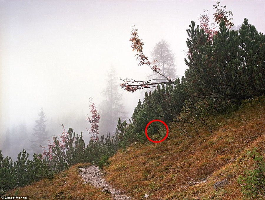 德国军队狙击手藏身术：与自然融为一体