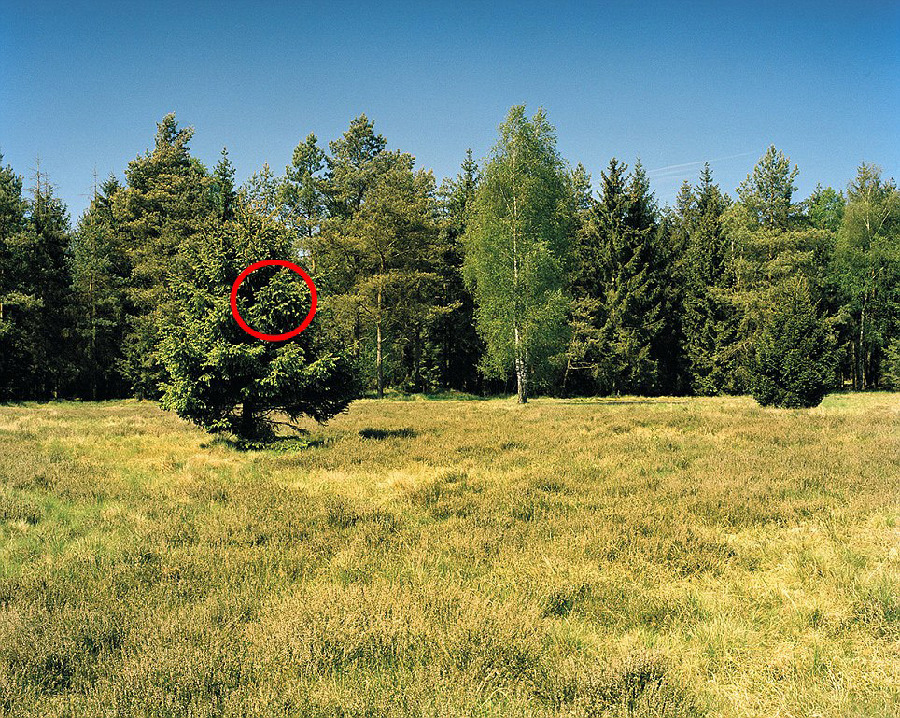 德国军队狙击手藏身术：与自然融为一体