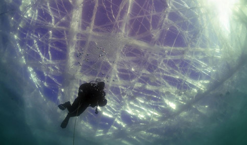 摄影师冒严寒潜水拍冰下世界如奇幻水晶宫(图)