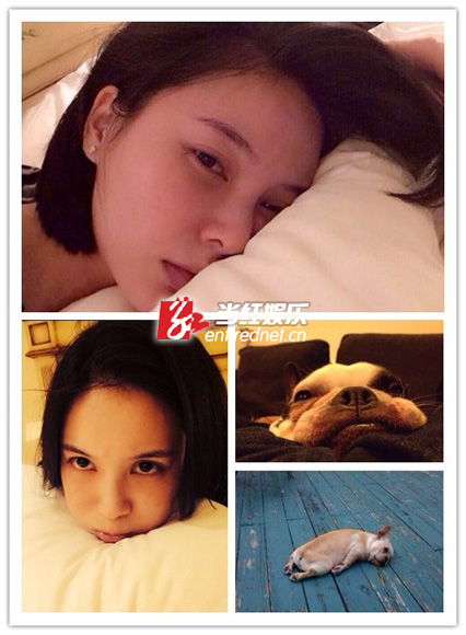 徐麒雯与“汪星人”比美