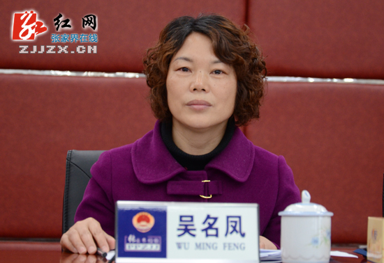 张家界市检察工作会议召开