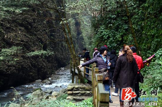 “三八节”张家界大峡谷景区向女性游客赠门票
