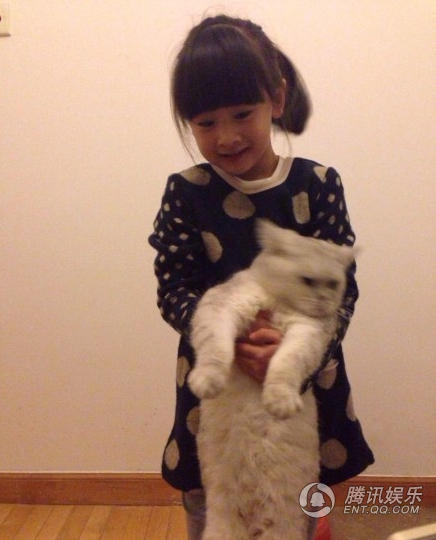 “女汉子”森碟抱肥猫